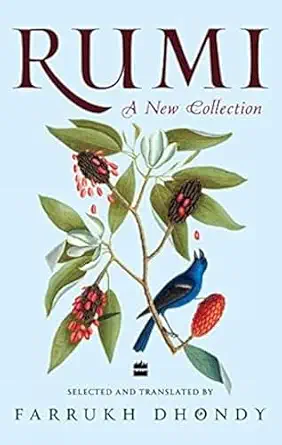 Rumi by Farrukh Dhondy - Book Cover