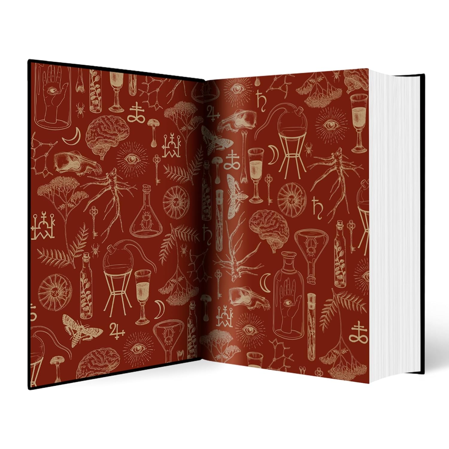 Alchemised : The 2025 debut novel phenomenon everyone is talking about and no one can put down by SenLinYu - Book Image 4
